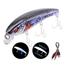 Load image into Gallery viewer, 12.5cm 26g Jerkbait Electric Vibration LED Fishing Light Attractant Lure Twitching Bait Rechargeable Lures Wobblers Minnow Bass