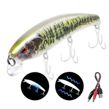 Load image into Gallery viewer, 12.5cm 26g Jerkbait Electric Vibration LED Fishing Light Attractant Lure Twitching Bait Rechargeable Lures Wobblers Minnow Bass